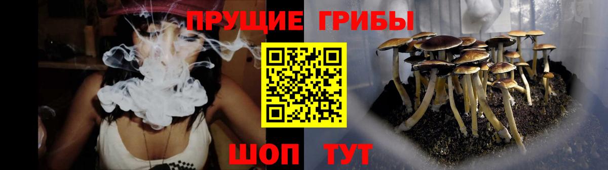 Псилоцибиновые грибы Cubensis  Вход с VPN  Аша 